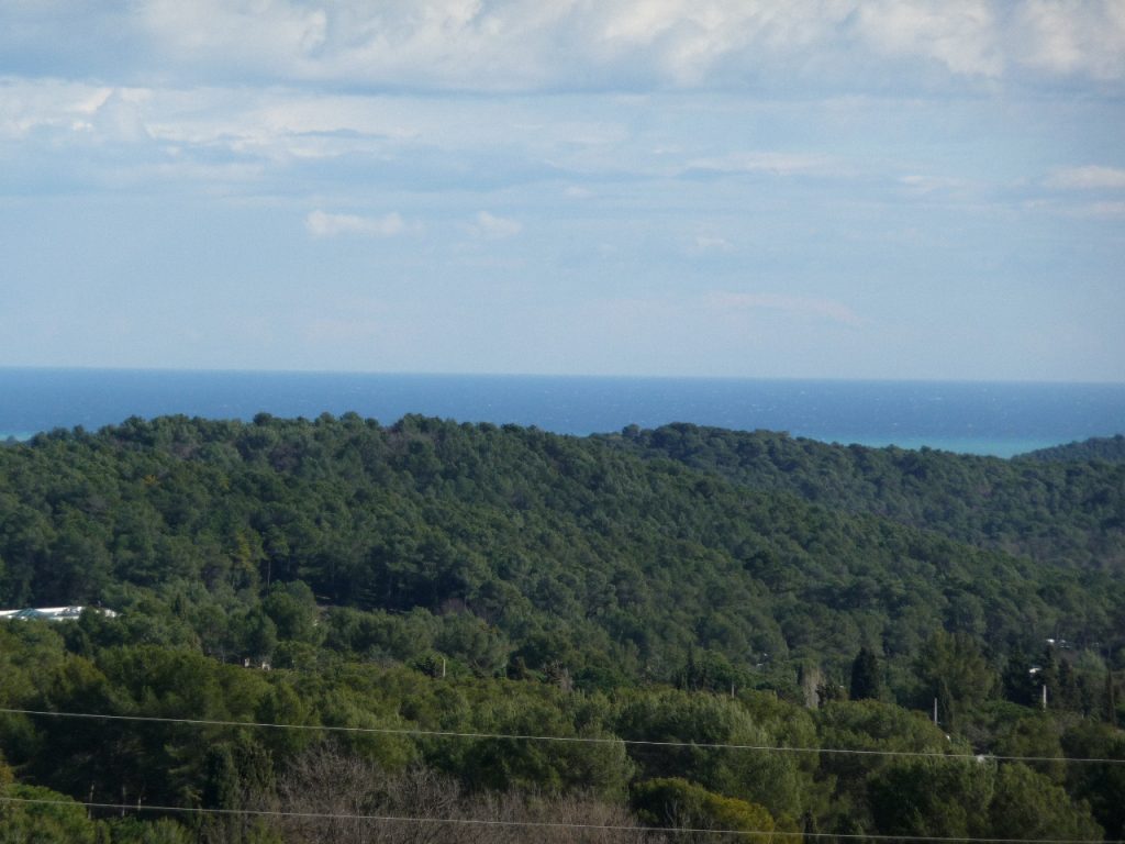 Havre de Paix à Mougins